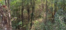20250816_164103.jpg
