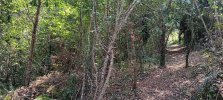20250816_164040.jpg