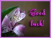 good luck wishes for friends - Mobile wallpapers.jpg