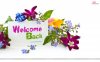 Radhu is Back again _P _ 4087455 _ Aur Pyaar Ho Gaya Forum.jpg