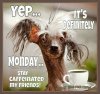 25+ best Funny Monday Quotes on Pinterest _ Funny weekend ___.jpg