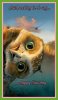 Best 25+ Tuesday greetings ideas on Pinterest _ Happy ___.jpg