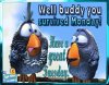 We Survived Monday Have A Great Tuesday Pictures, Photos ___.jpg