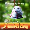 Swinging By To Say Have A Great Sunday Pictures, Photos ___.jpg
