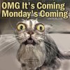 50 Best Happy Sunday Quotes To Share.jpg