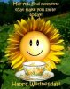Good Morning Wednesday Pictures, Photos, and Images for ___.jpg