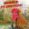 776 best images about good morning on Pinterest _ Happy ___.jpg