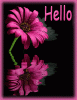 Hi, Hello Scraps, How Are You Comments, Images for Orkut ___.gif