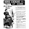 19 Home Horse exerciser with additional health benefits.jpg