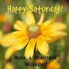 shareSaturday40.jpg