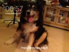 IMG_1178.PNG