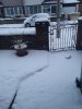 20180227_080115.jpg