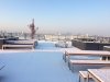 snow1.jpeg