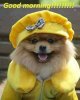 sharePets & Birds41.jpg