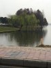 IMG_5062.jpg