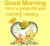 shareSunday61.jpg