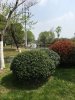 IMG_5238.jpg