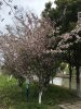IMG_5285.jpg