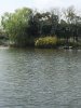 IMG_5246.jpg