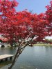 IMG_5469.jpg