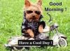 sharePets & Birds24.jpg