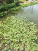 IMG_5690.jpg