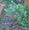 20180419_142348.jpg