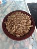crumble.JPG