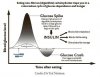 Glucose Insulin cycle.jpg