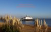 K5__0251_2.jpg