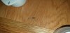 20190302_031752.jpg