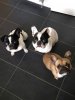 FB_IMG_1502032334194.jpg