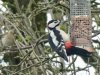 2815FF5E-39EF-43AD-9F74-FD6F46A81B67.jpeg