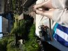 27E9CA5E-56D3-40E7-A6F9-C7D0AD00796A.jpeg