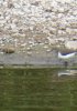 68418077-0CBE-4506-B670-65C703C96D39.jpeg