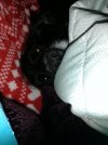 IMG_20210102_160616.jpg