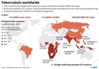 TB cases and deaths worldwide.png