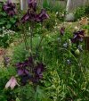 DSCN5326.jpg