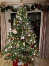 IMG_20211206_175022382.jpg