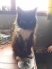 20170321_093404.jpg