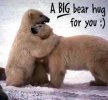 A-Big-Bear-Hug-For-You-DC011.jpg