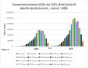 covid deaths comparison 2020 (pre vaccines rollout) and 2021 (post vaccines rollout).jpg