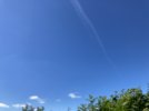 IMG_5625.jpeg