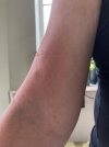 IMG_5632.jpeg