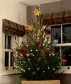 IMG_4632.jpeg