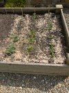 IMG_7592.jpeg