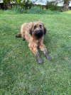 IMG_7166.jpeg