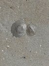 IMG_7739.jpeg