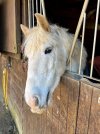 IMG_6116.jpeg