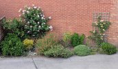 PXL_20250523_182343550.jpg